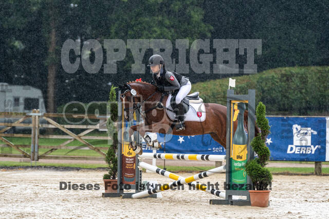 Goldene Schärpe 2021 - Ponys