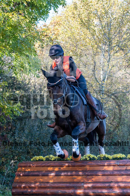 Vielseitigkeitslehrgang mit Jürg Kurbel (9.+10.11.2019)