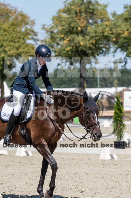 Kronenberg - De Peelbergen (August 2020)