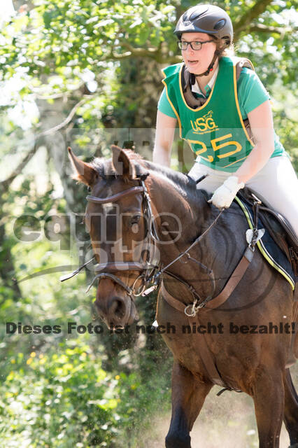 Vielseitigkeitsturnier ZRuFV von Lützow Hamminkeln