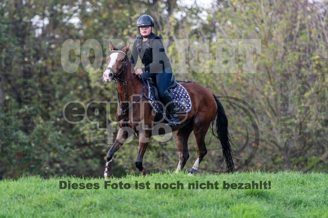 IGV Lehrgang der Sieger der Cups mit Frank Ostholt