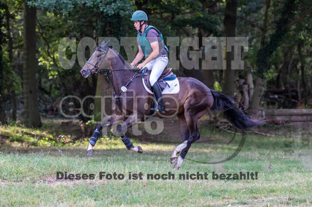 Late-Entry Vielseitigkeit Hamminkeln/Wesel (01.+02.08.2020)