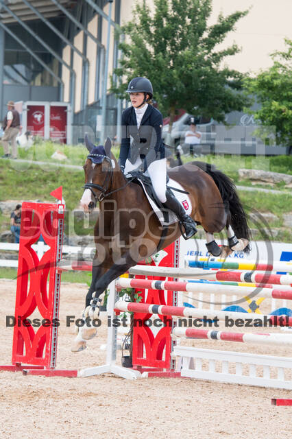 DJM Vielseitigkeit 2019, Kreuth