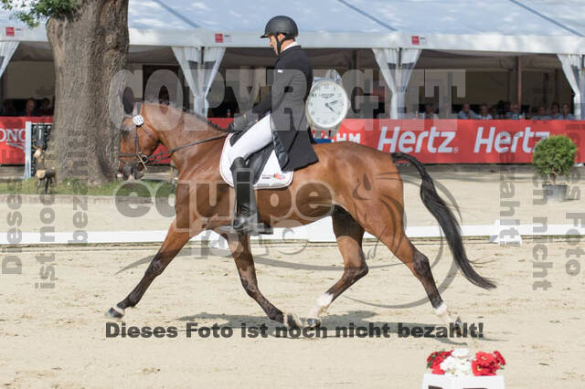 FEI European Championship Eventing 2017