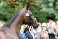 FEI European Championship Eventing 2017