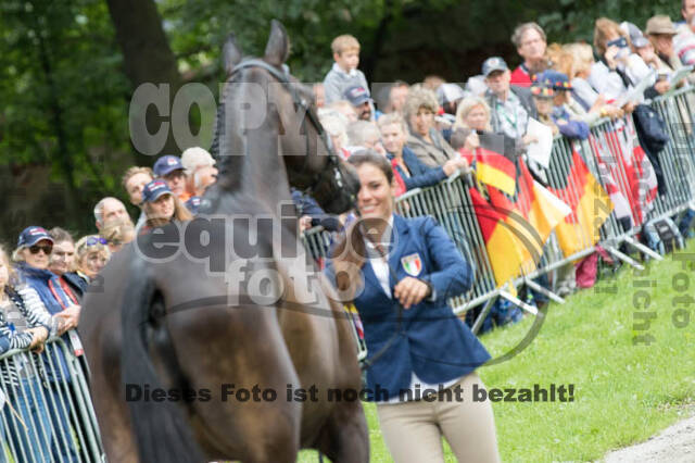 FEI European Championship