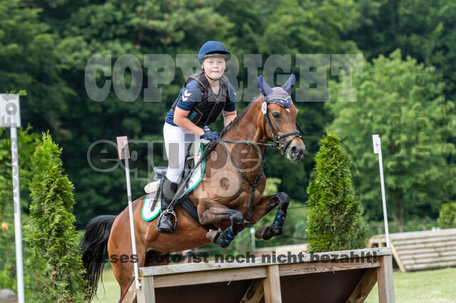 Goldene Schärpe 2021 - Ponys