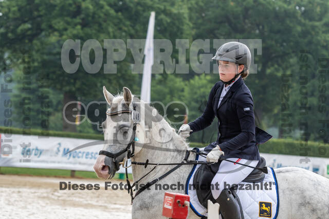 Goldene Schärpe 2021 - Ponys