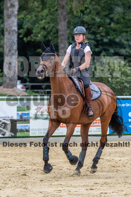 Hunter Geländetraining 10.07.2021 (Sonsbeck)