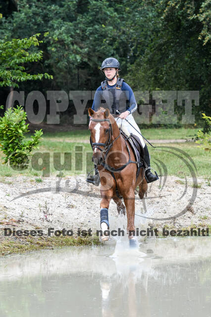 Late-Entry-Vielseitigkeit Langenfeld (11.+13./14.06.2020)