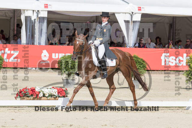 FEI European Championship Eventing 2017