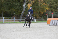 IGV Lehrgang der Sieger der Cups mit Frank Ostholt