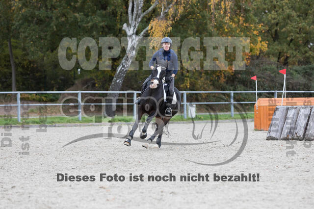 IGV Lehrgang der Sieger der Cups mit Frank Ostholt