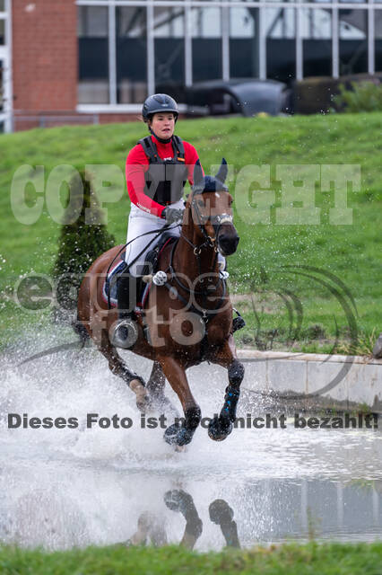 Goldene Schärpe 2020 - Pferde