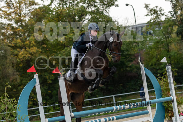 Reiter Schleswig-Holstein