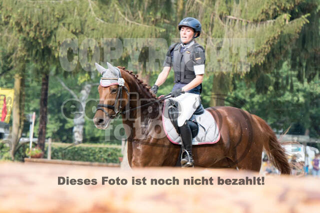 RFV Bad Honnef
