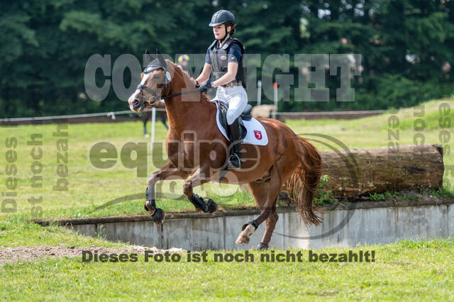 Goldene Schärpe 2021 - Ponys