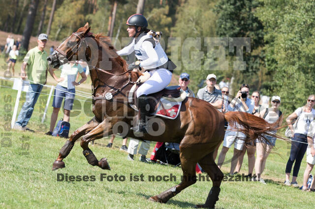 FEI European Championship Eventing 2019