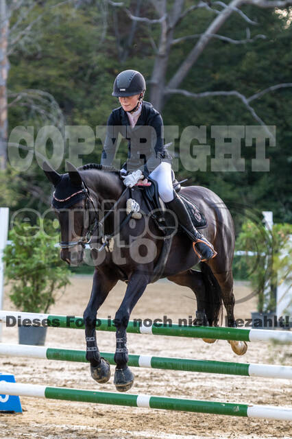 RFV Dinslaken-Hiesfeld (Herbstturnier)