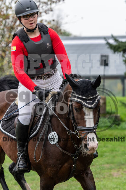 Goldene Schärpe 2020 - Pferde