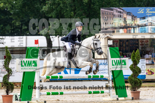 Goldene Schärpe 2021 - Ponys