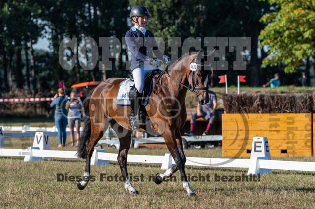 Kronenberg - De Peelbergen (August 2020)