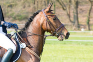 RV Seydlitz Kamp (06.+07.04.2019)