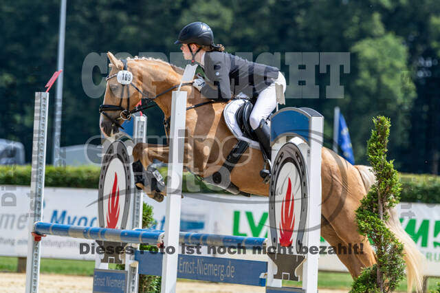 Goldene Schärpe 2021 - Ponys