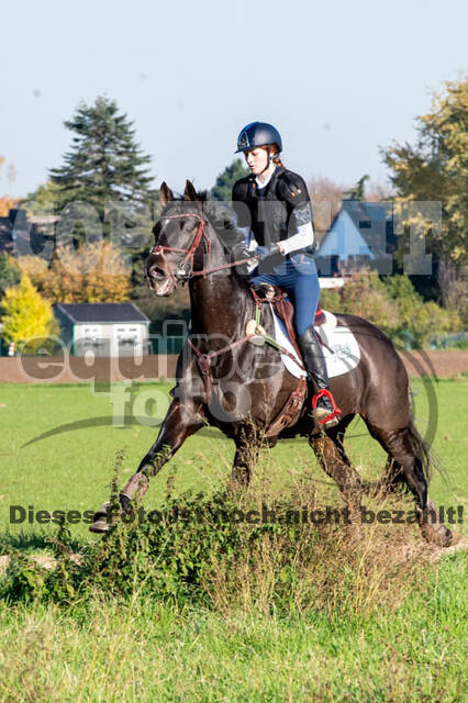 Vielseitigkeitslehrgang mit Jürg Kurbel (9.+10.11.2019)