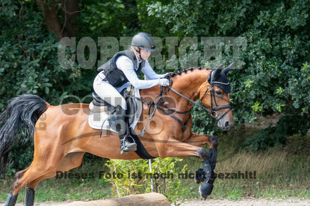 Late-Entry-Vielseitigkeit Langenfeld (06.+07.07.2020)