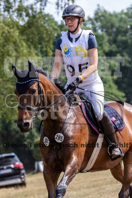 Late-Entry Vielseitigkeit Hamminkeln/Wesel (01.+02.08.2020)