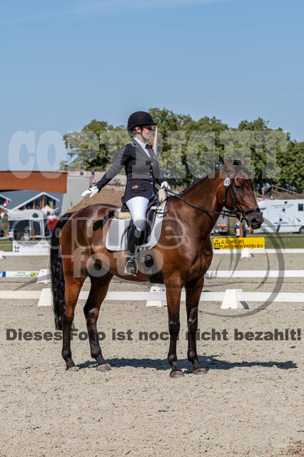 Kronenberg - De Peelbergen (August 2020)