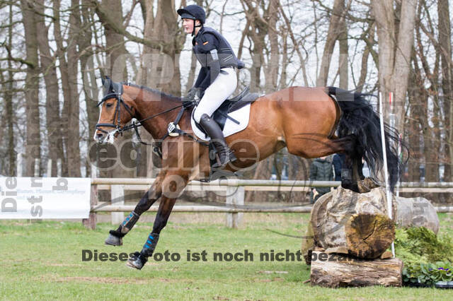 Jungpferdetag Hamminkeln