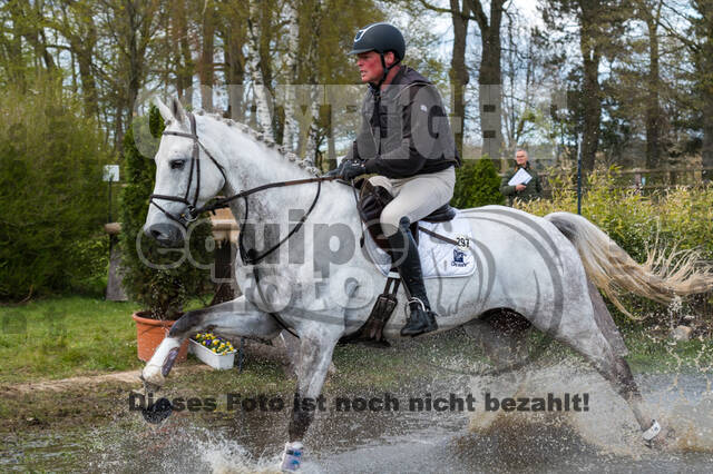 Frank Ostholt , Quasi Quax  