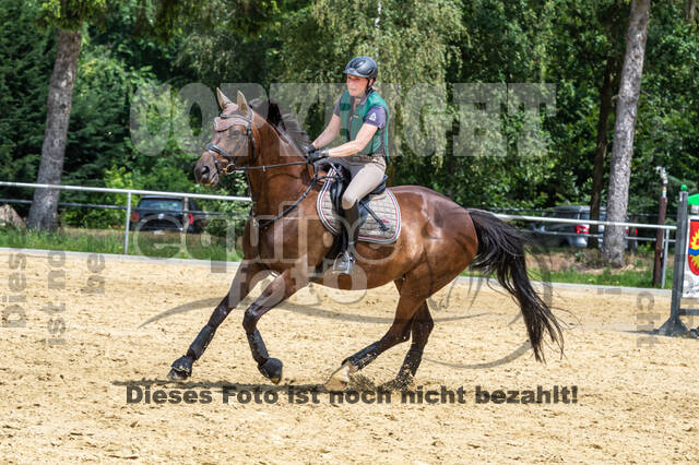 Hunter Geländetraining 10.07.2021 (Sonsbeck)