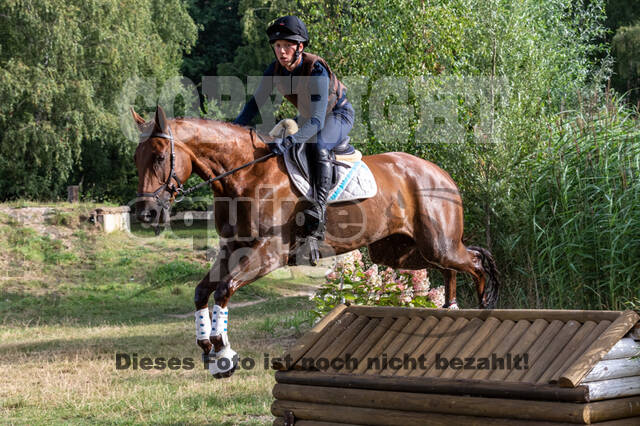 Late-Entry Vielseitigkeit Hamminkeln/Wesel (01.+02.08.2020)