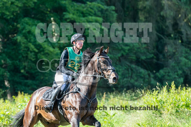 Westerstede Horse Trials (10.-13.06.2021)