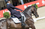FEI European Championship