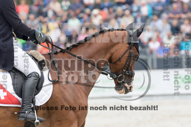 FEI European Championship Eventing 2019
