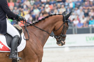 FEI European Championship Eventing 2019