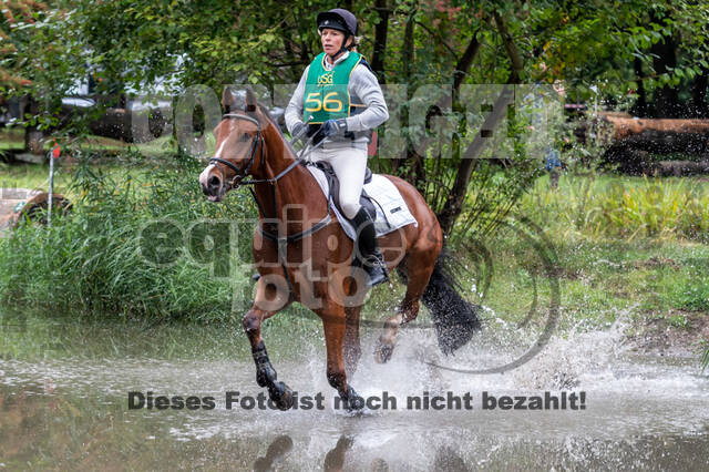 Vielseitigkeit RSV Wesel Obrighoven (26.+27.09.2020)