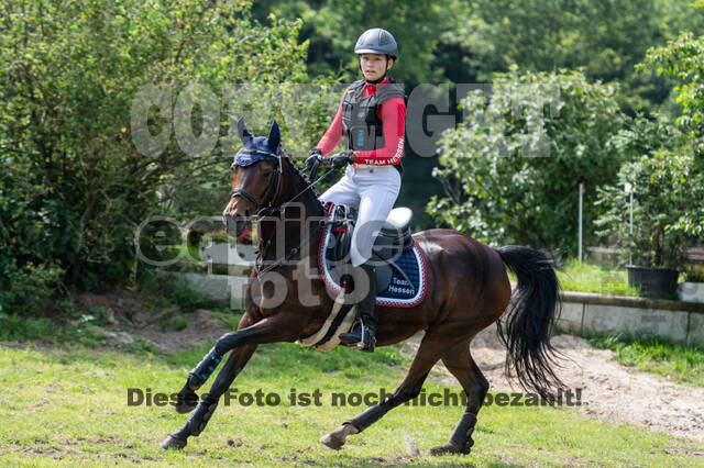 Goldene Schärpe 2021 - Ponys