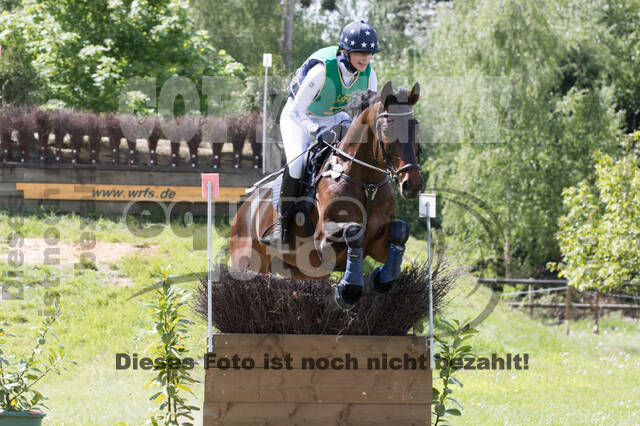 Sterne über Münster 2019 - CCI***S