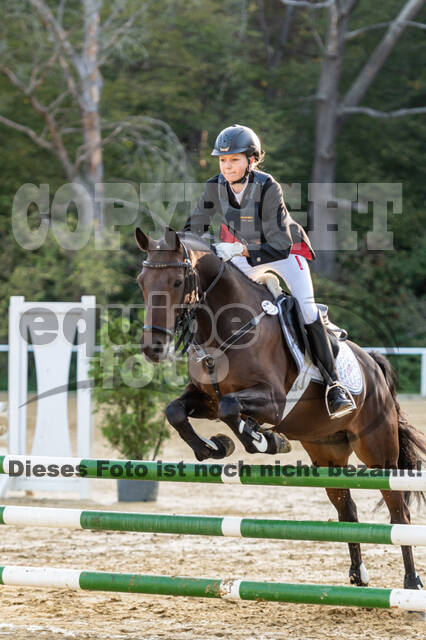 RFV Dinslaken-Hiesfeld (Herbstturnier)