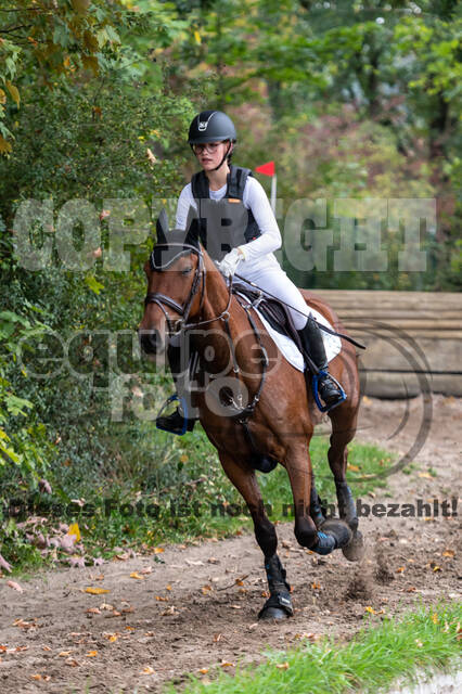 Goldene Schärpe 2020 - Pferde