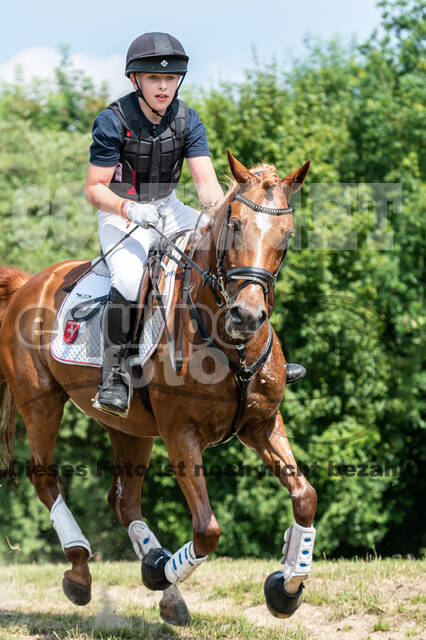 Goldene Schärpe 2021 - Ponys