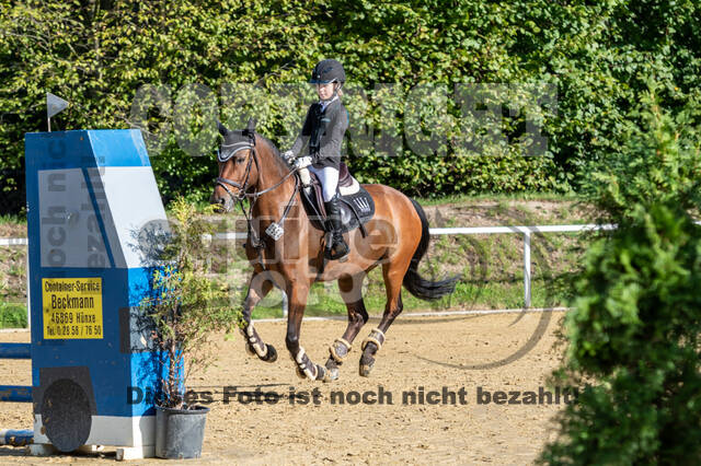 RFV Dinslaken-Hiesfeld (Herbstturnier)