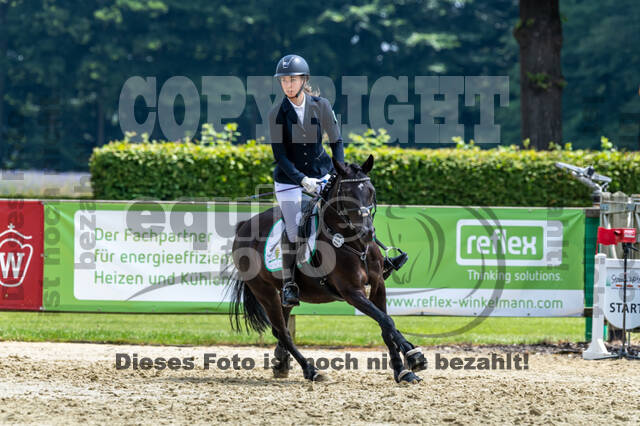 Goldene Schärpe 2021 - Ponys