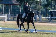 Kronenberg - De Peelbergen (August 2020)