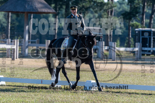 Kronenberg - De Peelbergen (August 2020)